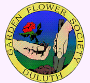 DGFS LOGO